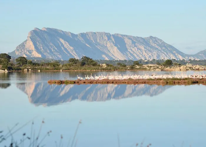 Iss Travel, Ponderosa Terrace - Centrally Located 2-bedroom With Aircondition San Teodoro (Sardinia)